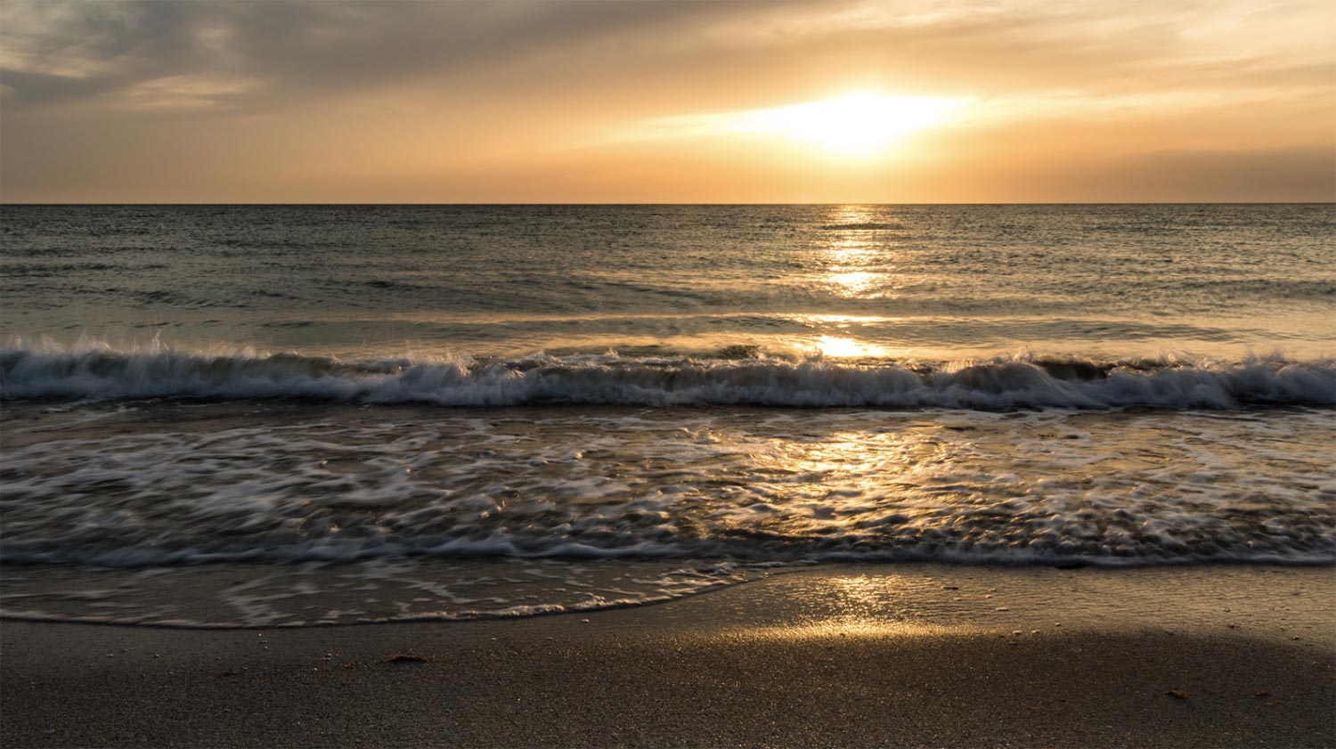 Sunshine and Sand: The Florida Experience