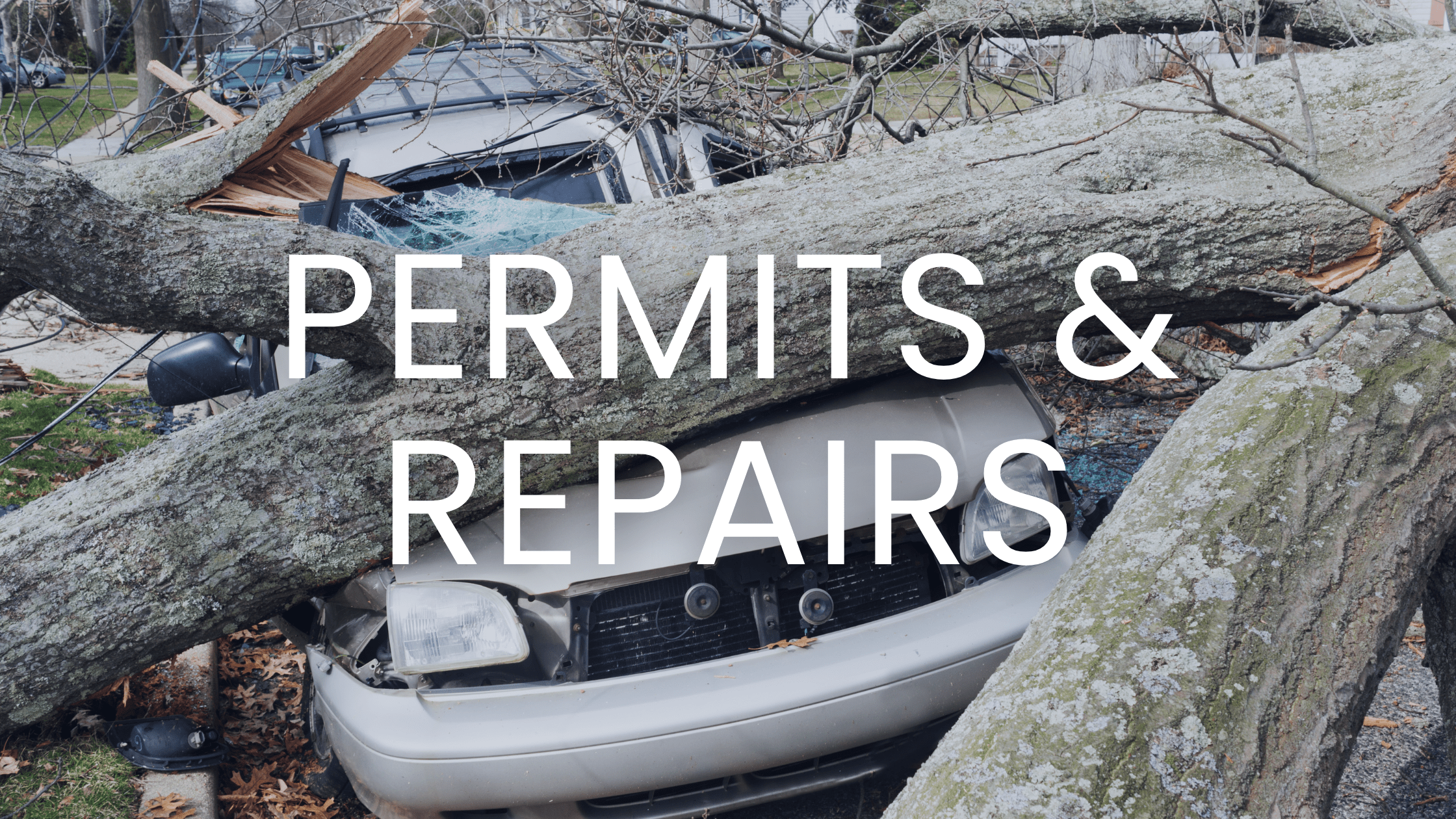 Permits & Repairs