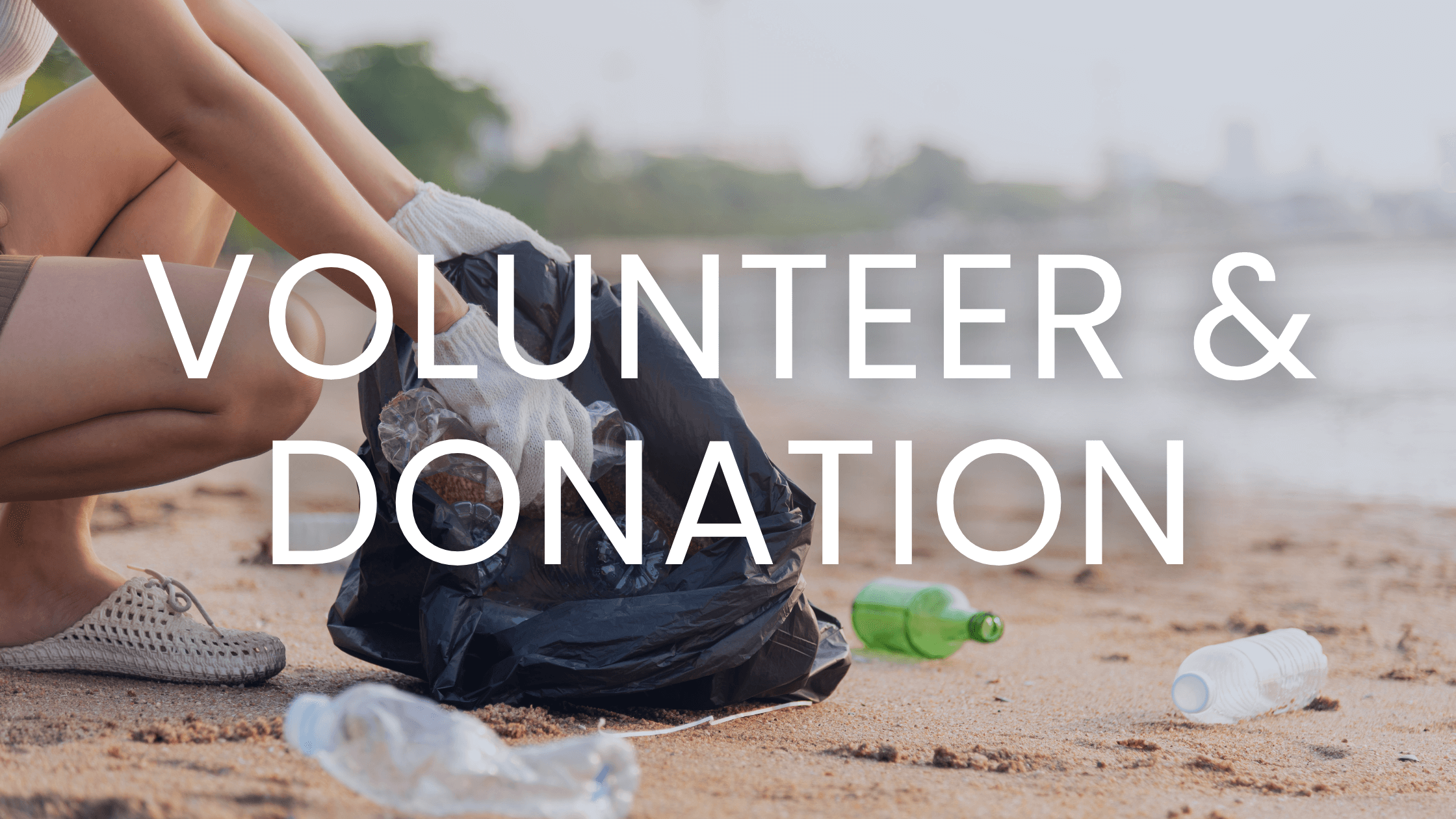 Volunteers & Donations